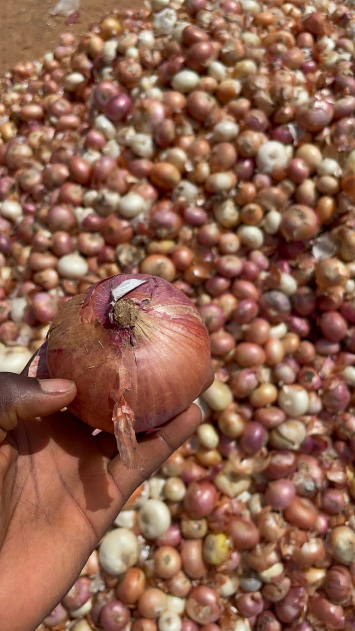 Agribusiness & Farm Management