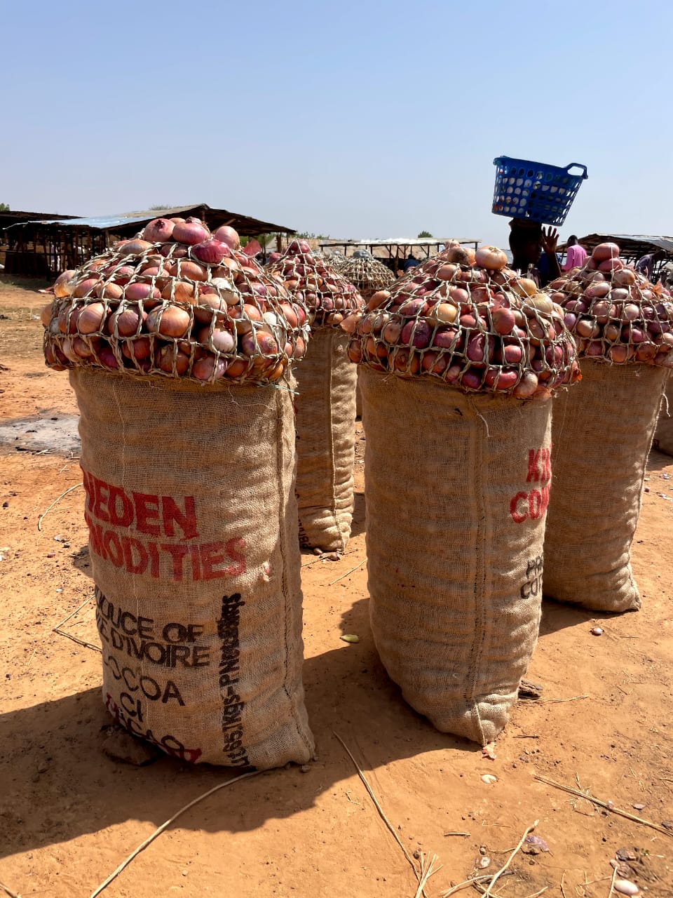Post-Harvest Handling & Export Grading